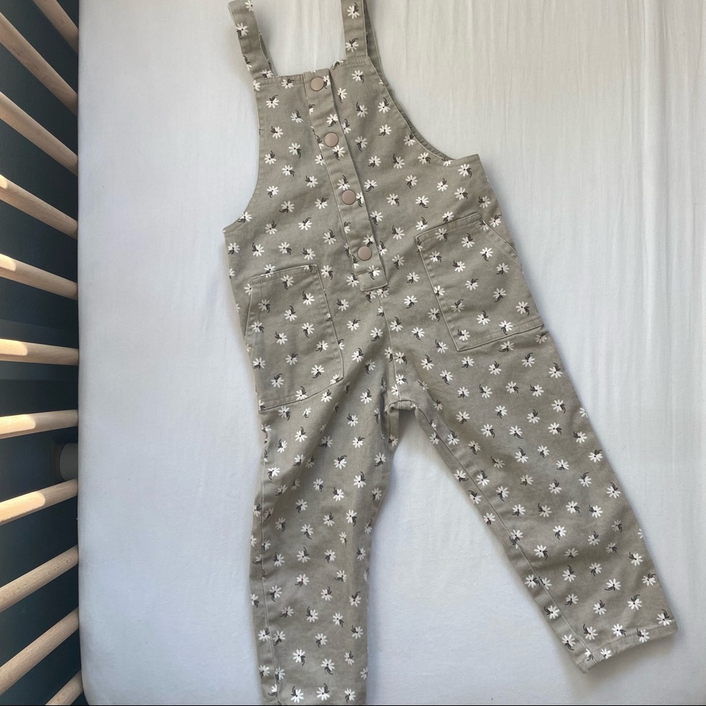 Zara Toddler Girl Floral Overalls